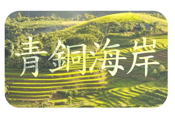 Title art: Bronze Coast in stylized characters over terraced green hills